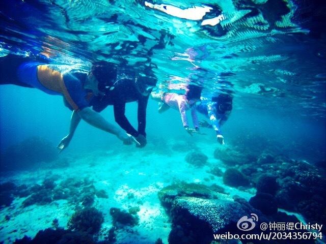 救援白色小猫